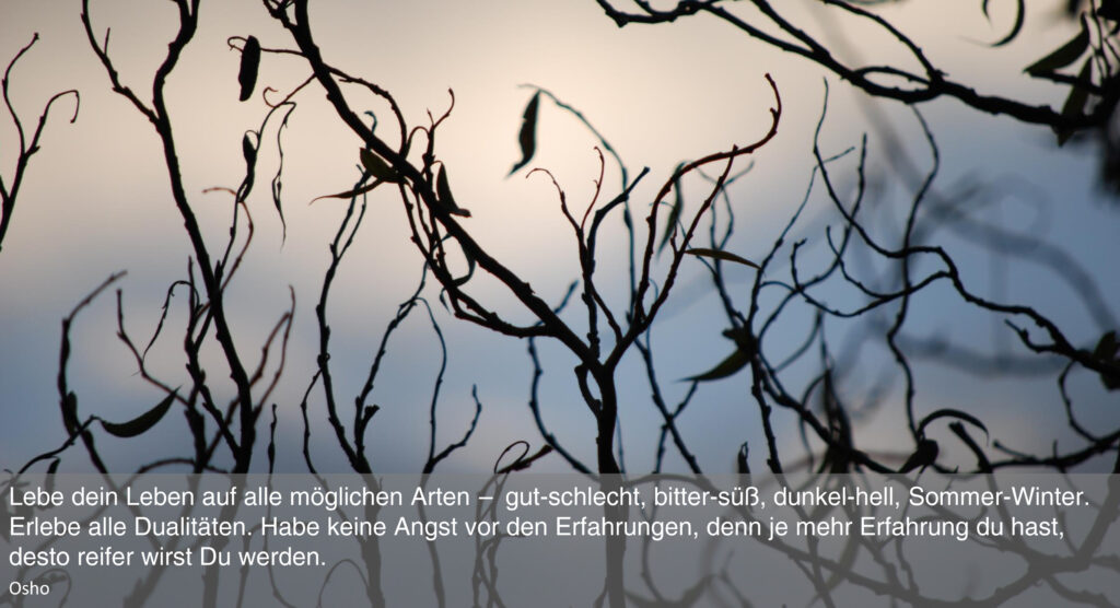 PowerPoint-Präsentation