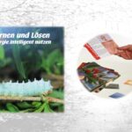 Raupenphase entfalten Spirit of Energy Workshop – Transformation von Innen erleben